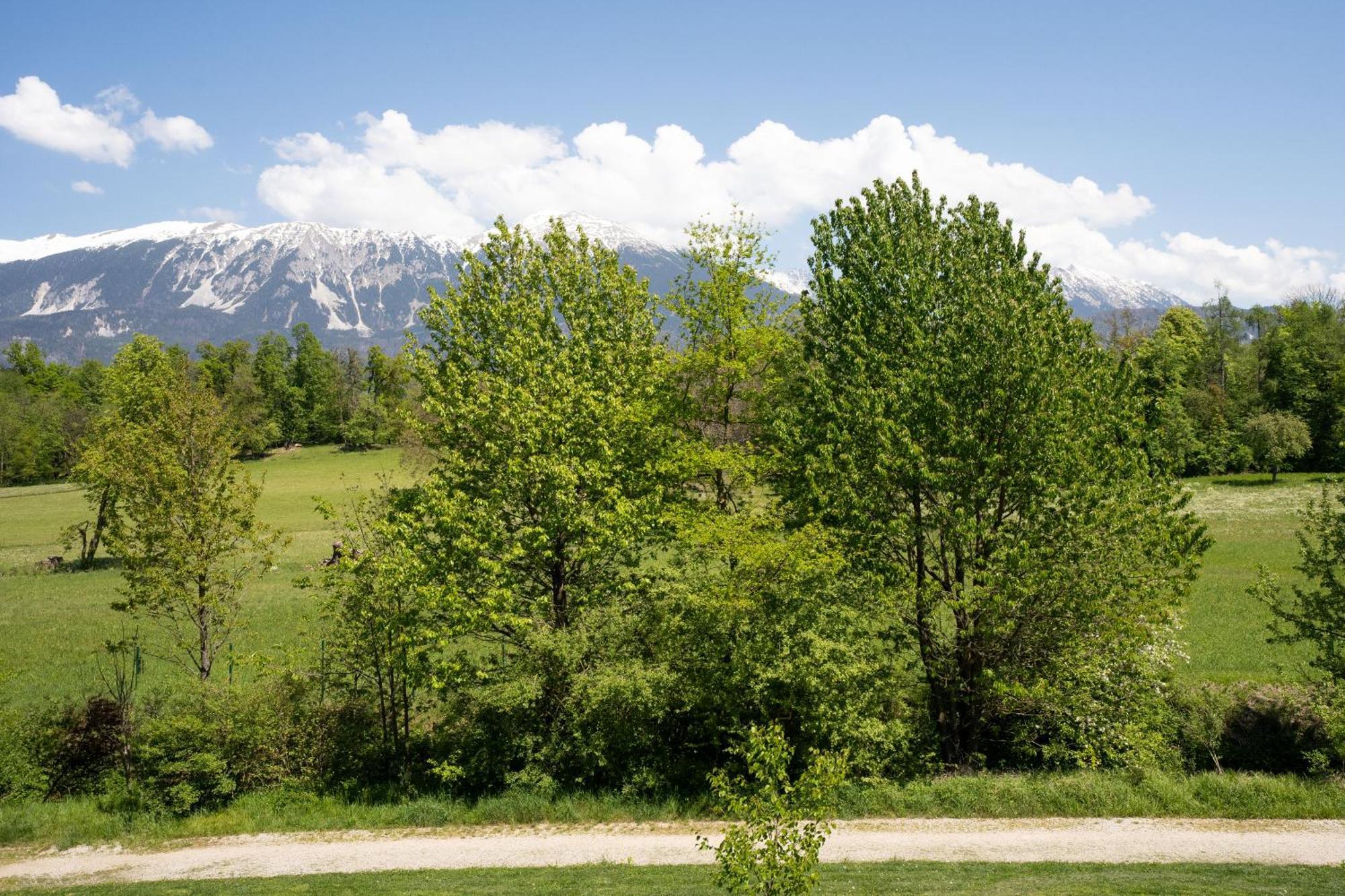 Mountain Suite Jula Bled Dış mekan fotoğraf